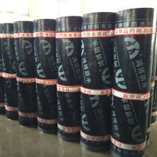 臺高防水女靴圖片