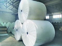 【蘭花王防水材料提供的長(zhǎng)纖聚酯胎口碑怎么樣--廣西長(zhǎng)纖聚酯胎】蘭花王防水材料提供的長(zhǎng)纖聚酯胎口碑怎么樣--廣西長(zhǎng)纖聚酯胎批發(fā)價(jià)格,廠家,圖片,濰坊市蘭花王防水材料 -