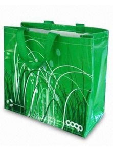 無紡布袋價(jià)格與供應(yīng)商解析 以雄縣泰祥無紡布包裝制品廠為例