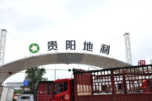 地利集團(tuán)十家農(nóng)批市場榮膺2018年度全國百強(qiáng)，彰顯農(nóng)產(chǎn)品流通行業(yè)標(biāo)桿力量